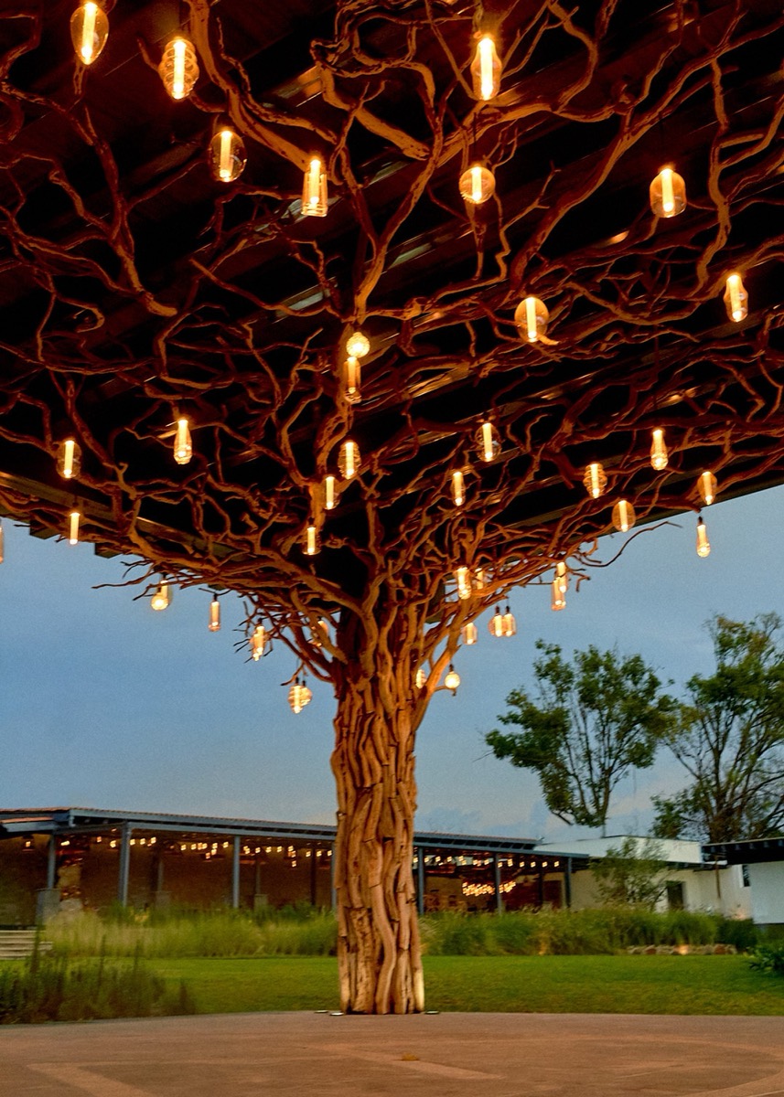 El árbol de luz encendido al anochecer