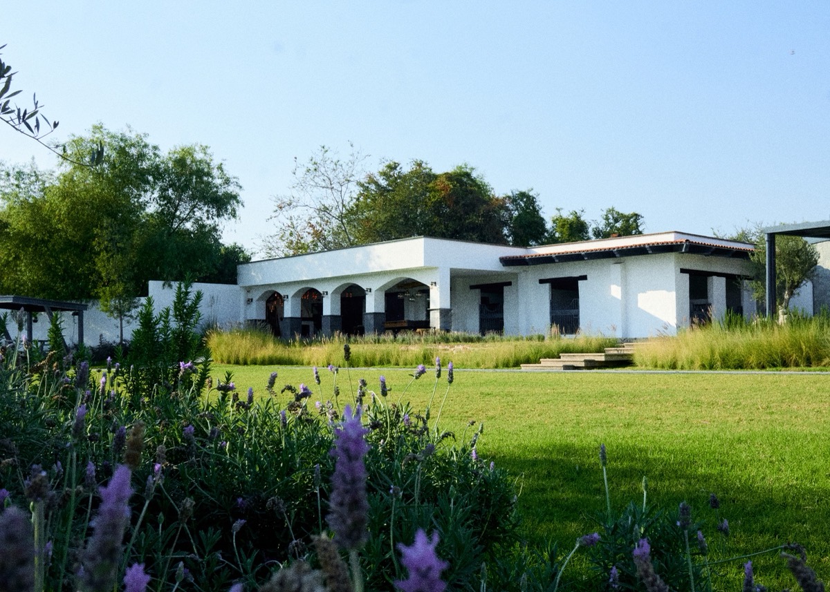 Jardín con lavanda frente a la casa de arcos blancos